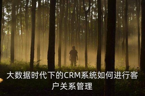 大數(shù)據(jù)時代下的CRM系統(tǒng)如何進(jìn)行客戶關(guān)系管理