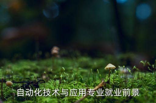 自動(dòng)化技術(shù)與應(yīng)用專(zhuān)業(yè)就業(yè)前景