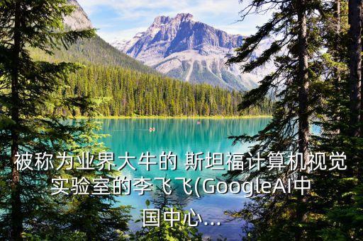 斯坦福醫(yī)療數(shù)據(jù)集,醫(yī)療知識圖譜數(shù)據(jù)集
