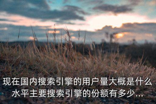 現(xiàn)在國內(nèi)搜索引擎的用戶量大概是什么水平主要搜索引擎的份額有多少...