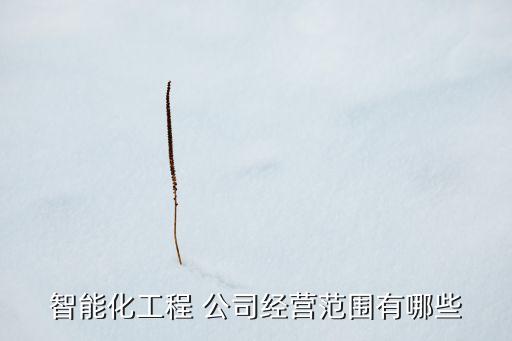 智能化工程 公司經(jīng)營范圍有哪些