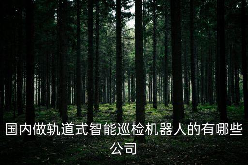 國內做軌道式智能巡檢機器人的有哪些公司