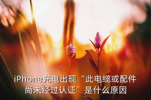 蘋果數(shù)據(jù)線不能認(rèn)證,蘋果手機提示數(shù)據(jù)線未被認(rèn)證怎么辦?