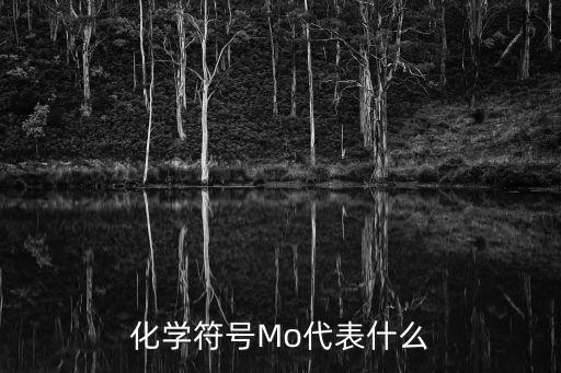 化學(xué)符號(hào)Mo代表什么