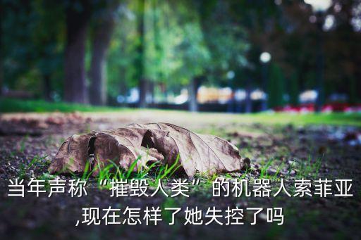 當年聲稱“摧毀人類”的機器人索菲亞,現(xiàn)在怎樣了她失控了嗎