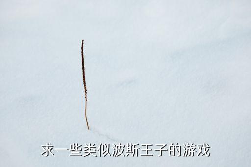 求一些類似波斯王子的游戲