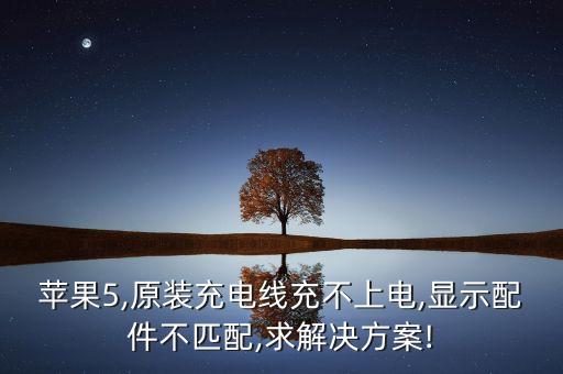 蘋果5,原裝充電線充不上電,顯示配件不匹配,求解決方案!