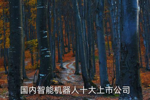 國內(nèi)智能機(jī)器人十大上市公司