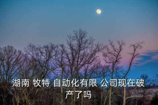 湖南 牧特 自動化有限 公司現(xiàn)在破產(chǎn)了嗎