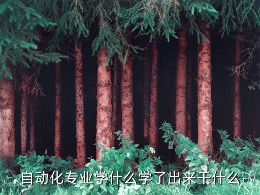 自動化專業(yè)學什么學了出來干什么