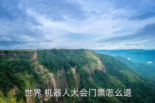  世界 機器人大會門票怎么退