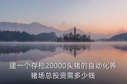 建一個存欄20000頭豬的自動化養(yǎng)豬場總投資需多少錢