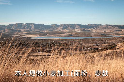 面粉自動化設(shè)備視頻,自動化設(shè)備包括哪些?
