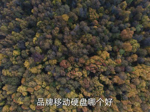 品牌移動硬盤哪個好