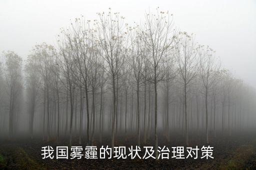 我國霧霾的現(xiàn)狀及治理對策