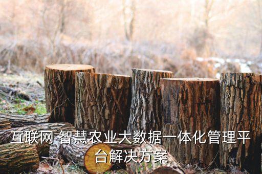 大數(shù)據(jù)部署方案,鯤鵬大數(shù)據(jù)解決方案憑何領(lǐng)先?