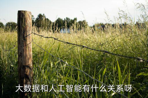 大數(shù)據(jù)和人工智能有什么關(guān)系呀