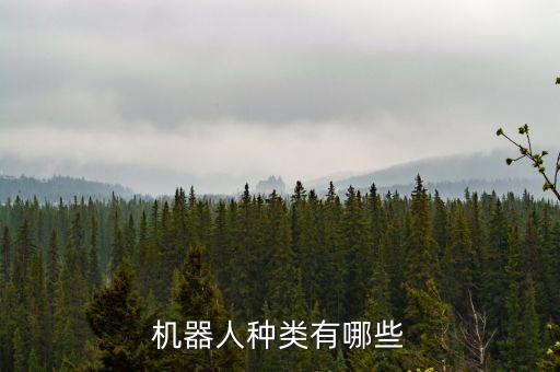 機(jī)器人種類(lèi)有哪些