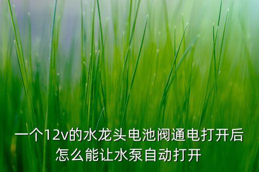 一個(gè)12v的水龍頭電池閥通電打開(kāi)后怎么能讓水泵自動(dòng)打開(kāi)