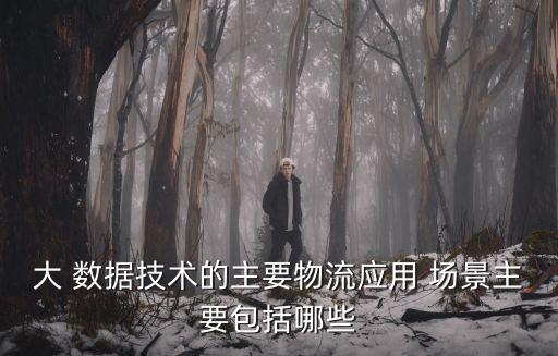 大 數(shù)據(jù)技術的主要物流應用 場景主要包括哪些