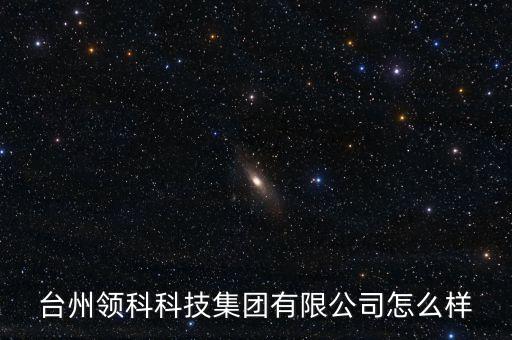 臺(tái)州領(lǐng)科科技集團(tuán)有限公司怎么樣