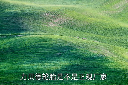 貝德自動(dòng)化公司,瑞貝德柴油發(fā)動(dòng)機(jī)是瞪羚企業(yè)嗎?