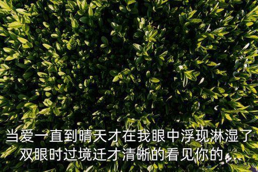 當愛一直到晴天才在我眼中浮現(xiàn)淋濕了雙眼時過境遷才清晰的看見你的...