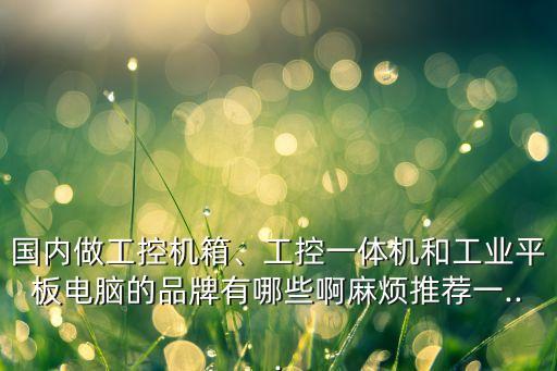 國內(nèi)做工控機箱、工控一體機和工業(yè)平板電腦的品牌有哪些啊麻煩推薦一...