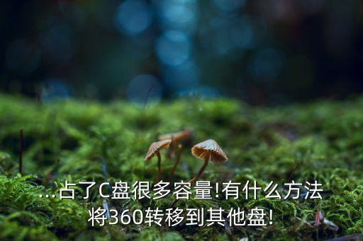 ...占了C盤很多容量!有什么方法將360轉(zhuǎn)移到其他盤!