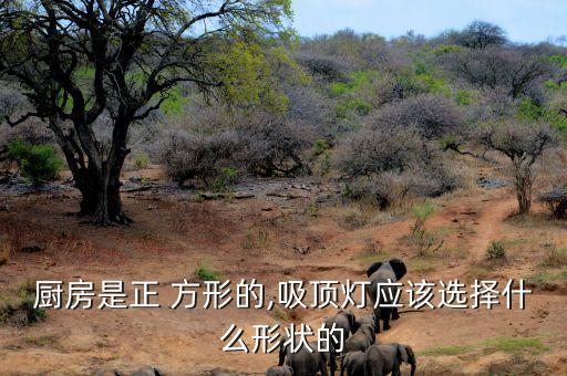 方形平板燈自動化設備圖片