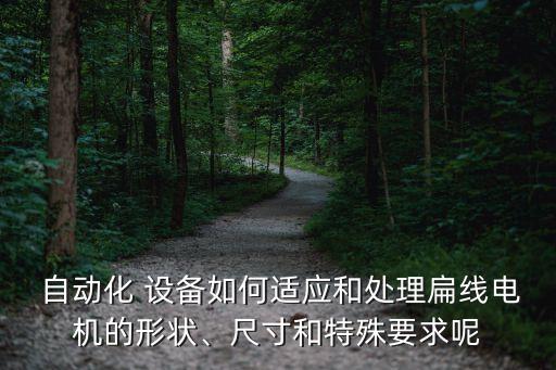  自動(dòng)化 設(shè)備如何適應(yīng)和處理扁線電機(jī)的形狀、尺寸和特殊要求呢