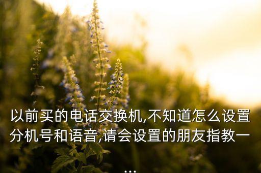 以前買的電話交換機(jī),不知道怎么設(shè)置分機(jī)號(hào)和語(yǔ)音,請(qǐng)會(huì)設(shè)置的朋友指教一...
