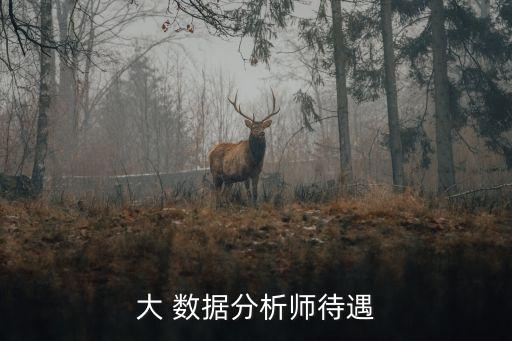 大 數(shù)據(jù)分析師待遇