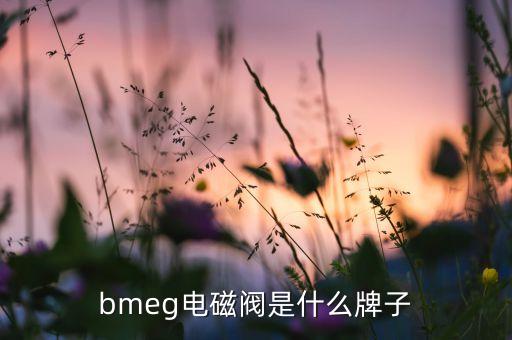 bmeg電磁閥是什么牌子