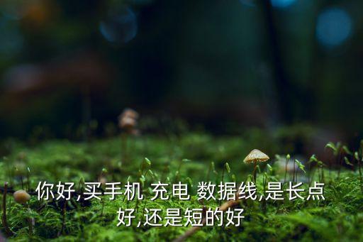你好,買手機(jī) 充電 數(shù)據(jù)線,是長(zhǎng)點(diǎn)好,還是短的好