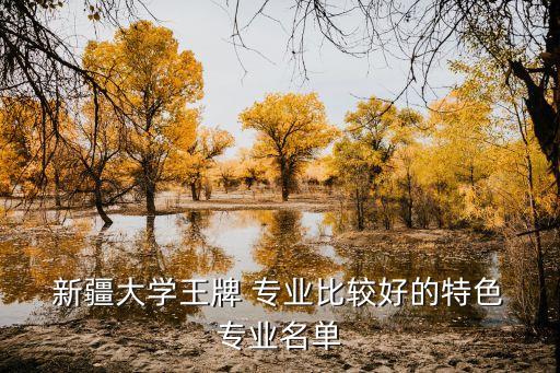  新疆大學王牌 專業(yè)比較好的特色 專業(yè)名單