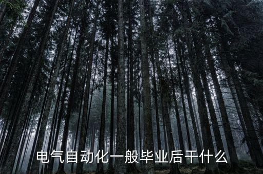 電氣自動化一般畢業(yè)后干什么