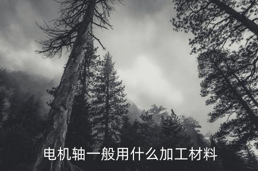 電機軸