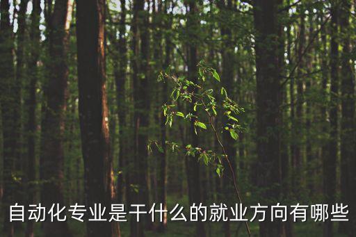 自動化專業(yè)是干什么的就業(yè)方向有哪些