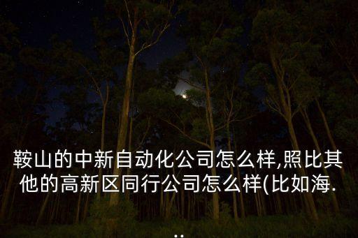 鞍山的中新自動(dòng)化公司怎么樣,照比其他的高新區(qū)同行公司怎么樣(比如海...