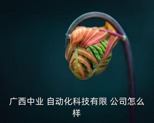 南寧小型自動化設(shè)備公司,蘇州非標自動化設(shè)備公司排名