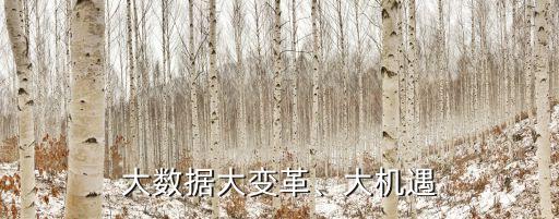 大數(shù)據(jù)時代有哪些機(jī)遇,大數(shù)據(jù)時代的本質(zhì)特征