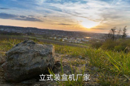 立式裝盒機(jī)廠家