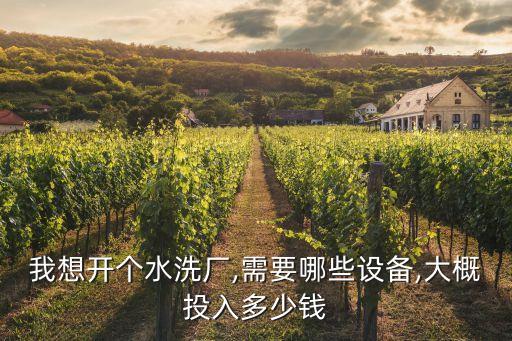 我想開個水洗廠,需要哪些設(shè)備,大概投入多少錢