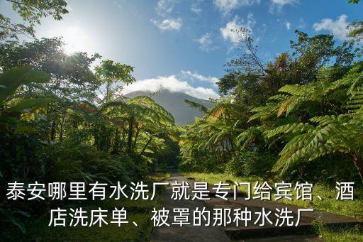 泰安哪里有水洗廠就是專門給賓館、酒店洗床單、被罩的那種水洗廠