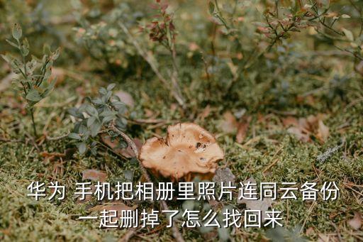  華為 手機(jī)把相冊(cè)里照片連同云備份一起刪掉了怎么找回來