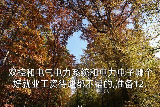  雙控和電氣電力系統(tǒng)和電力電子哪個(gè)好就業(yè)工資待遇都不錯(cuò)的,準(zhǔn)備12...