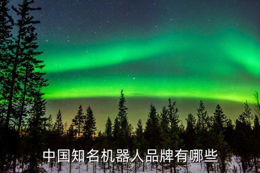 中國知名機(jī)器人品牌有哪些