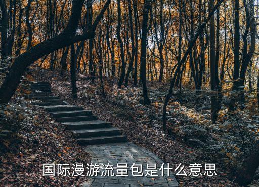 什么是漫游數(shù)據(jù)流量套餐,數(shù)據(jù)漫游有何意思?