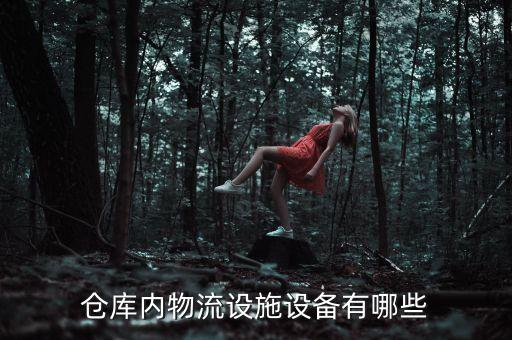 亞龍自動(dòng)化倉(cāng)庫(kù)的存儲(chǔ)設(shè)備,自動(dòng)化立體倉(cāng)庫(kù)有何優(yōu)點(diǎn)?